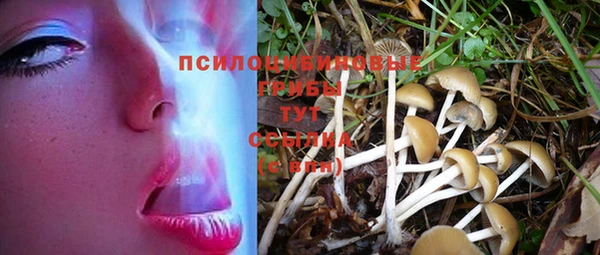 МДПВ Алзамай
